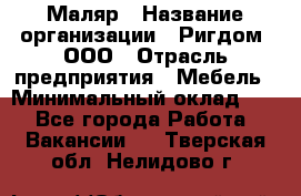 Маляр › Название организации ­ Ригдом, ООО › Отрасль предприятия ­ Мебель › Минимальный оклад ­ 1 - Все города Работа » Вакансии   . Тверская обл.,Нелидово г.